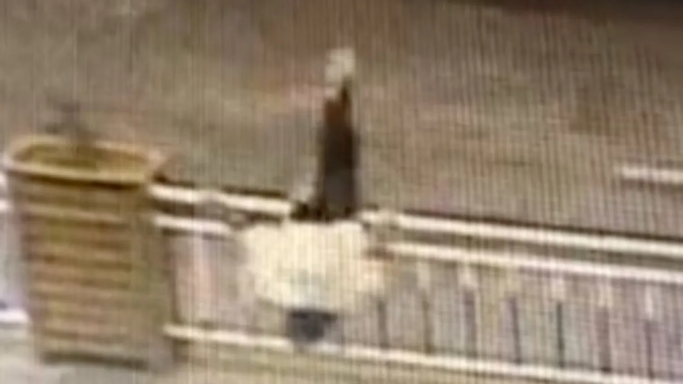 Úgy érzi, hogy rossz napja van? Az biztos, hogy nem annyira, mint ennek a nőnek – videó