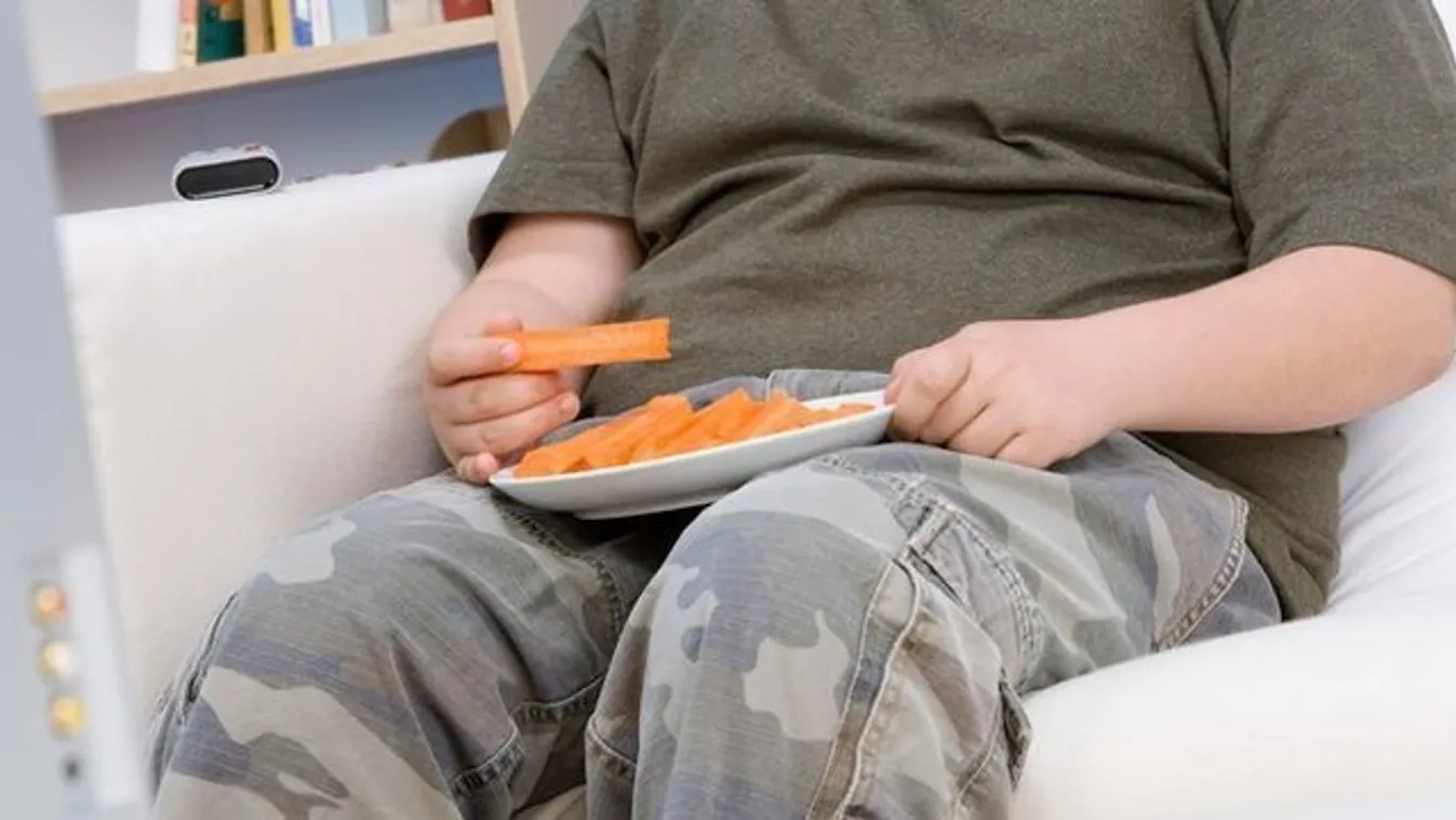 A felnőttkori elhízás okai a gyerekkorban keresendők
