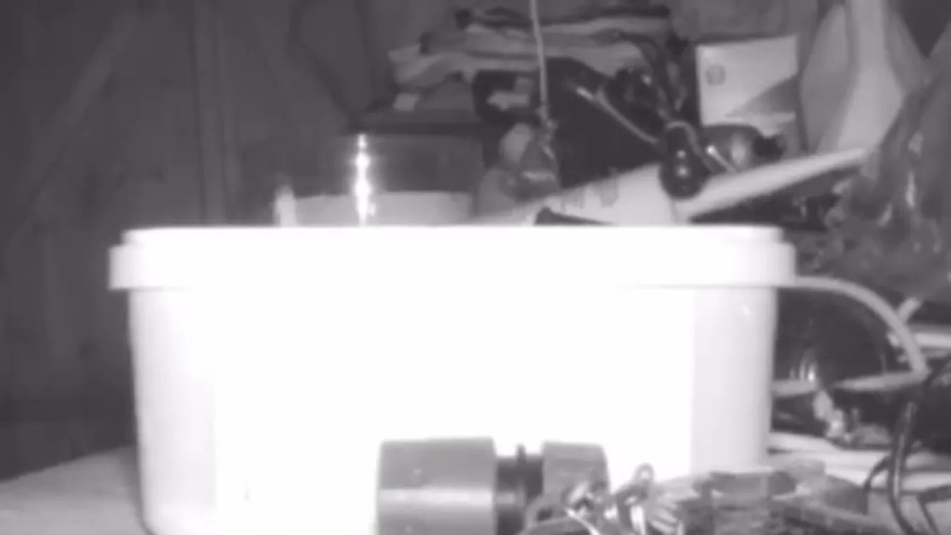 Kamera leplezte le a minden éjjel rendet rakó alakot – videó