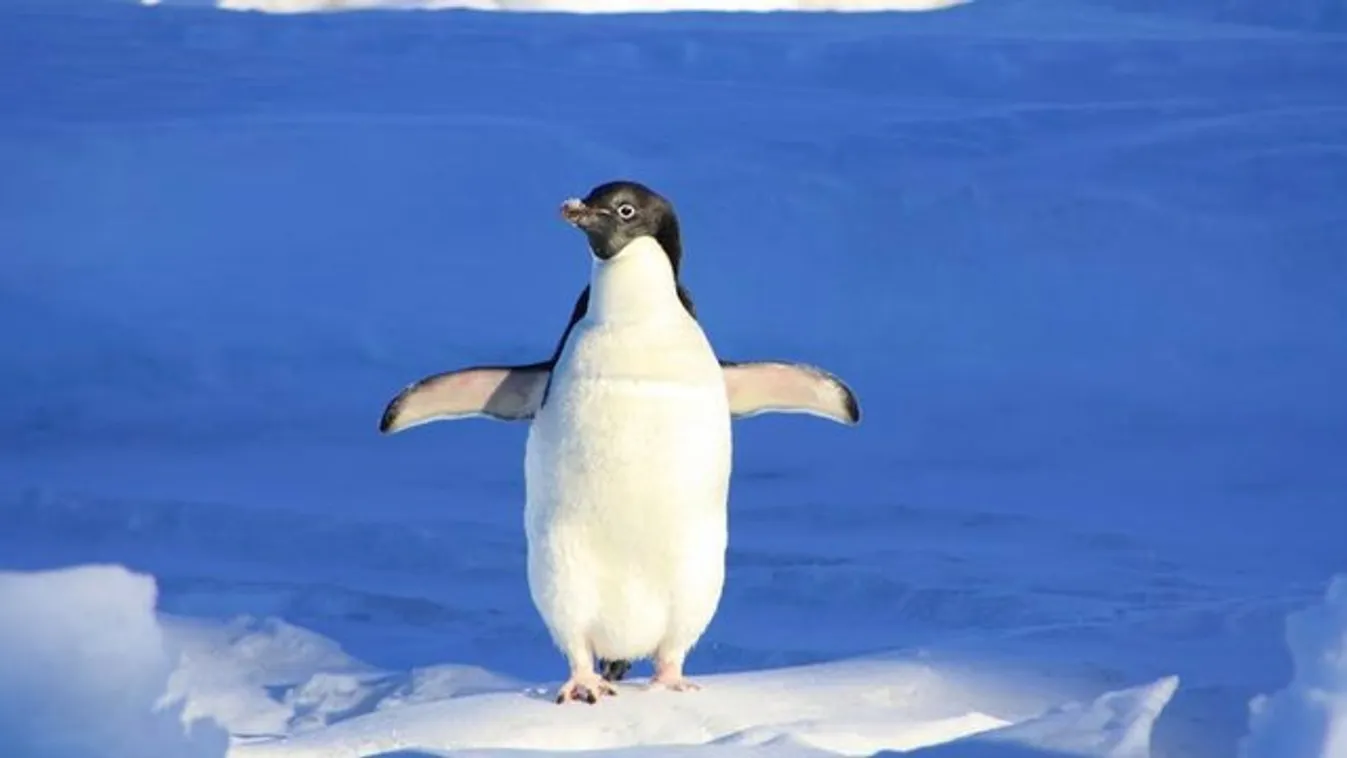 Évek óta nem látott hideg vár ránk decemberben