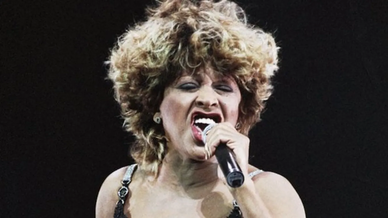 Tizennyolc éve nem látta fiát Tina Turner