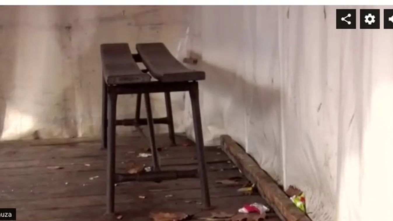 Élőben nézték a szlovák zsaruk: 12 éves lánnyal közösült a pedofil bűnöző a főtéren - 18+ Videó