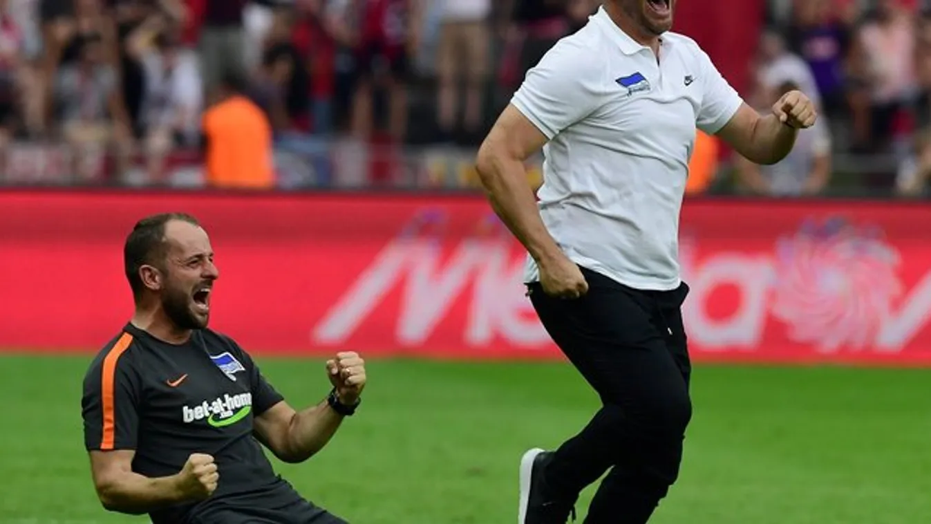 Dárdai őrjöngve ünnepelte a Hertha sikerét