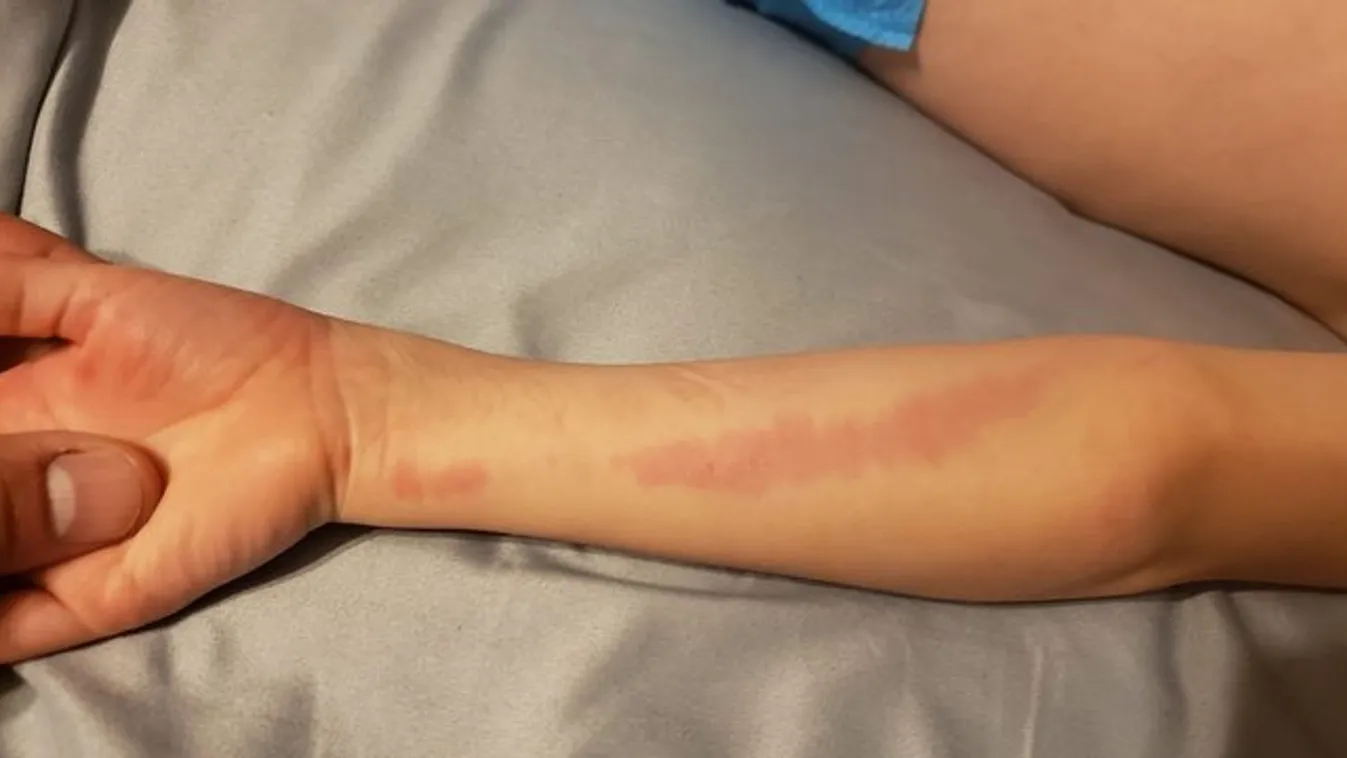Hátborzongató: egy parkból ragadta el az autista kisfiút, hogy beledobja a folyóba a zavart nő