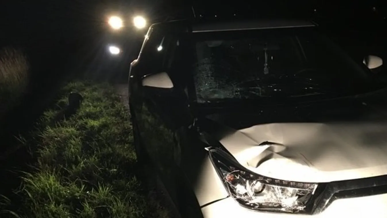 Halálos kecskeméti gázolás: a BMW-s után a busz is áthajtott a férfi