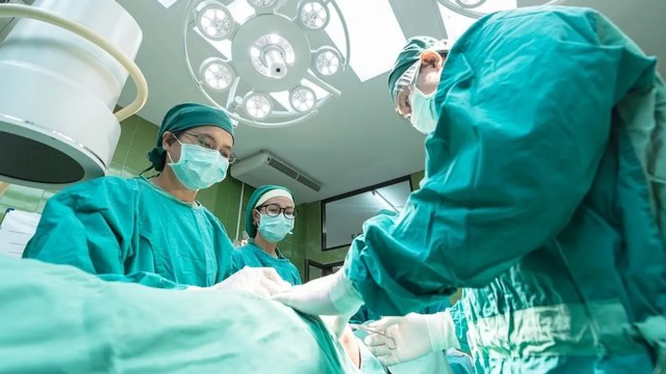 Egy élő, tizenöt centi hosszú férget műtöttek ki a nő agyából – videó