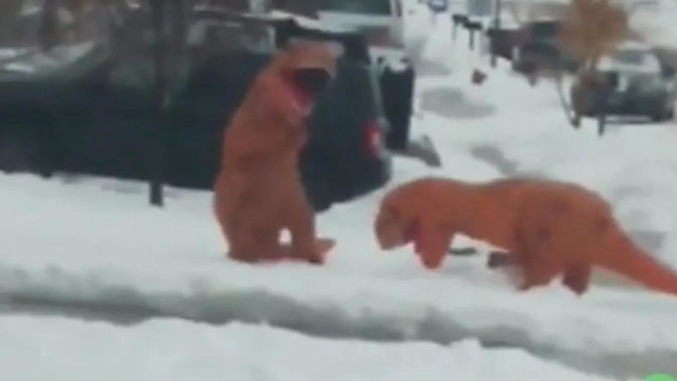 Most komolyan nézne bármi mást, amikor hógolyózó dinoszauruszokat is láthat?! videó