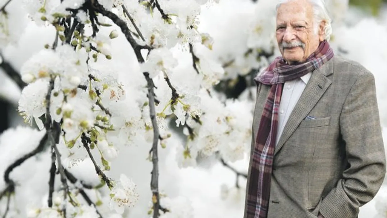Brutális lehűlés jön: Méregdrága lehet a cseresznye