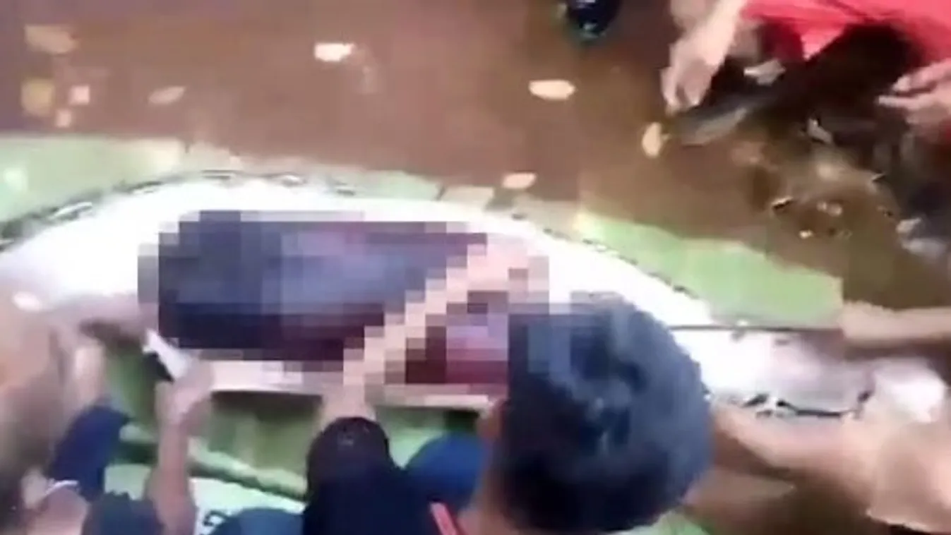 Döbbenet, honnan került elő az eltűnt édesanya - videó