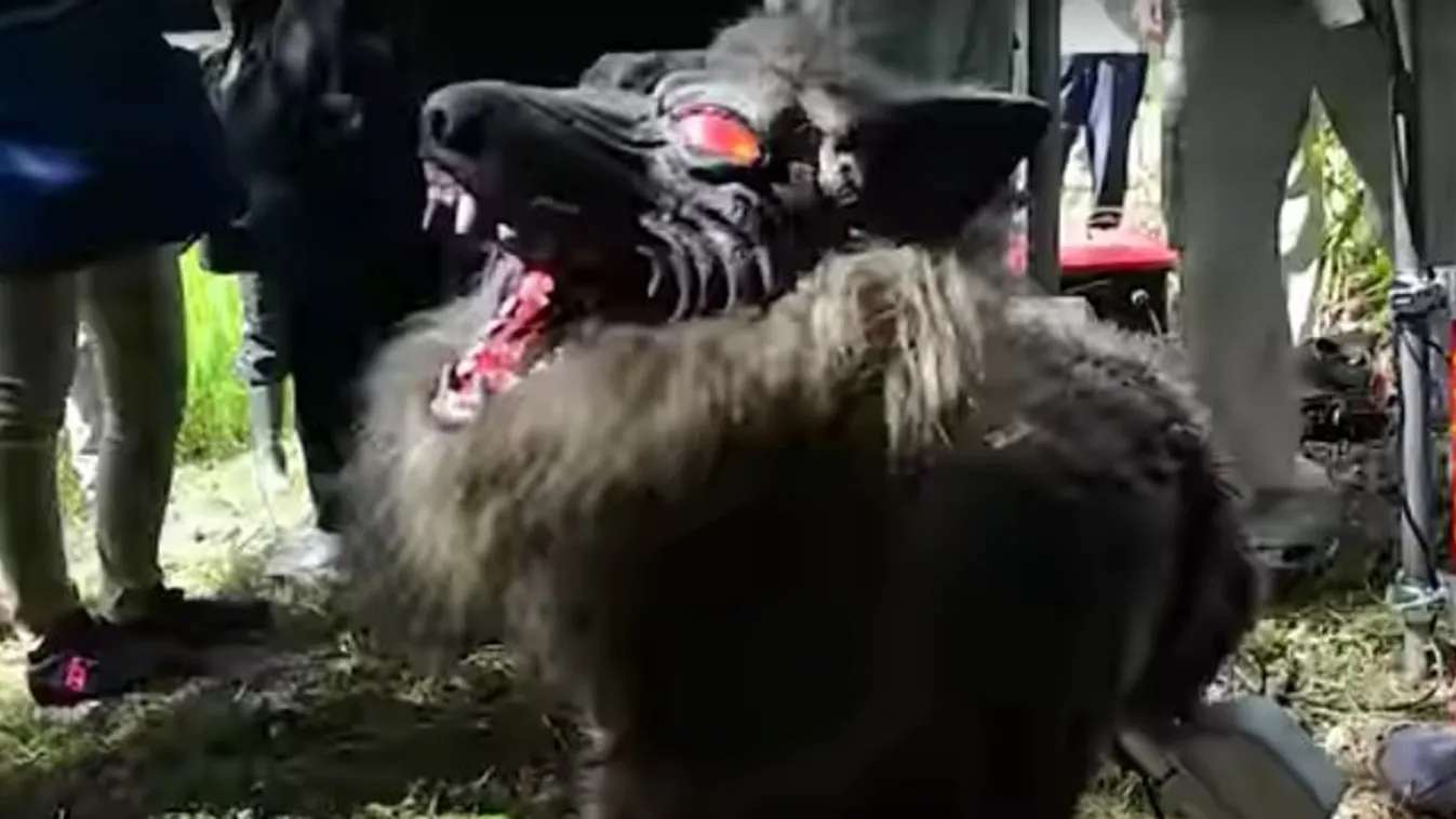 Ön őriztetné egy ilyen bizarr robotfarkassal a kertjét? videó
