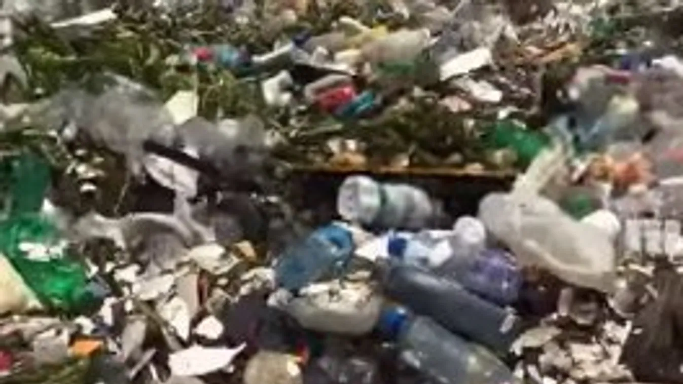 Elképesztő szemétáradat a Karib-tengerben – videó
