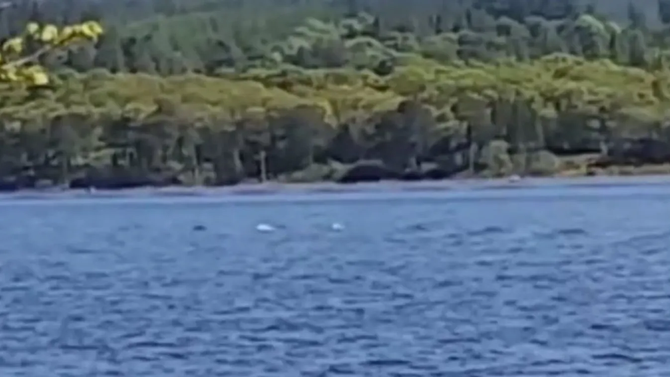 Lefilmezték a Loch Ness-i szörnyet, ráadásul kicsinyeivel együtt - videó