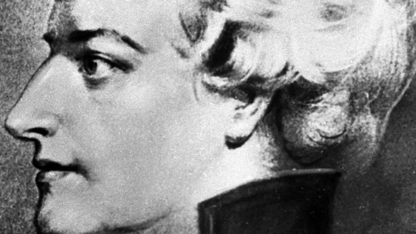 Krokodil füleit rejtette a hosszú parókája alá Mozart