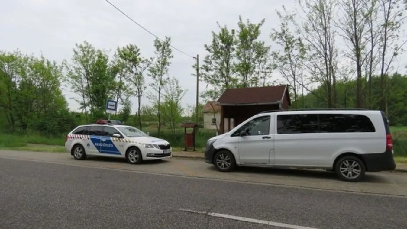 Borzasztó kegyetlenség: Kiskutyákat kínzott és pusztított el egy ópusztaszeri férfi