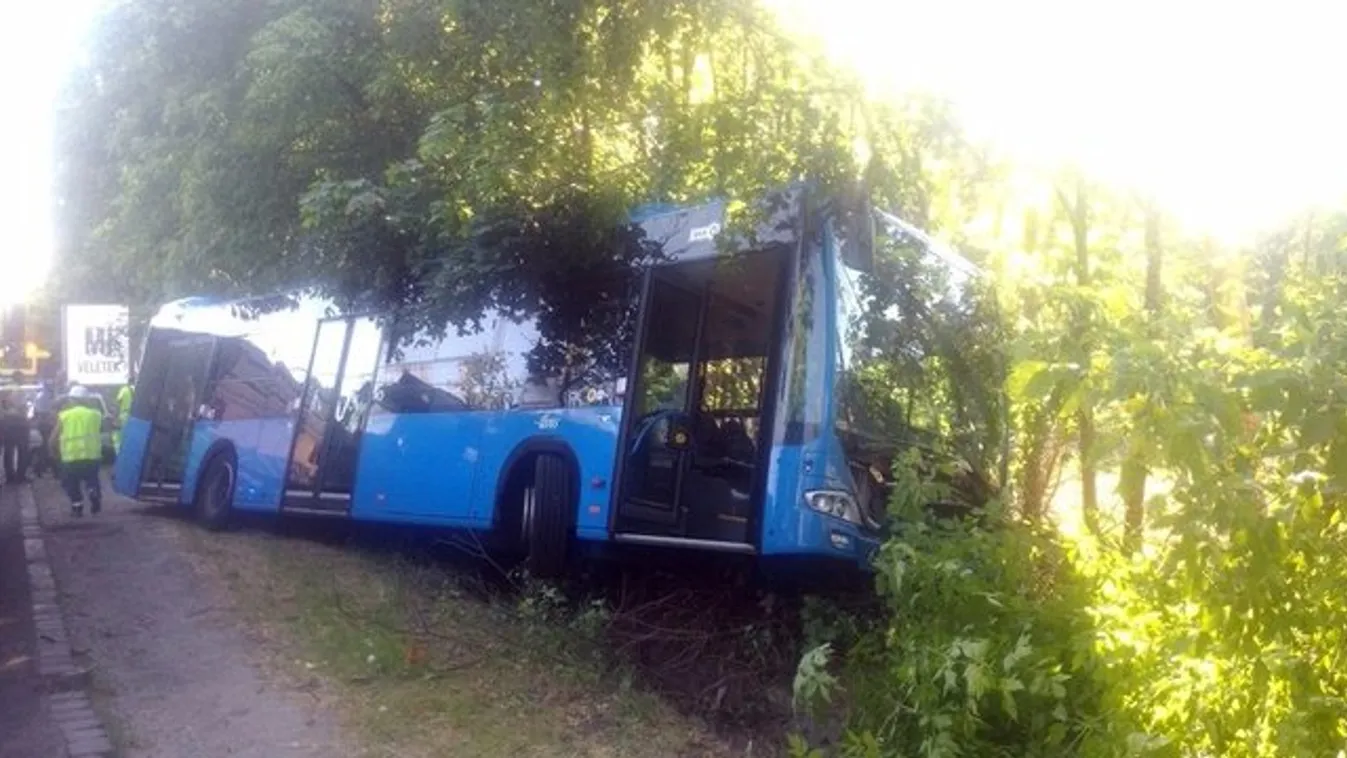 Rosszul lett a sofőr, az árokban kötött ki a 98-as busz - fotók