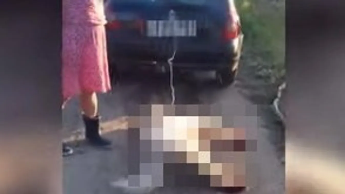 A kutyáját brutálisan megkínzó balotaszállási nő: Egyáltalán nem sajnálom – 18+ videó