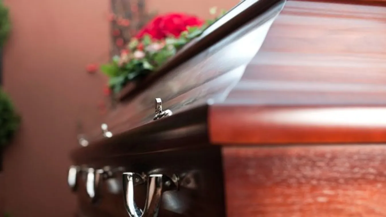 Ő a legdurvább ingyenélő, akiről eddig hallani lehetett