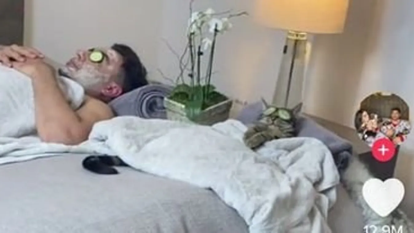 Meg kell zabálni: közös wellness napot tart gazdájával a cicus – videó