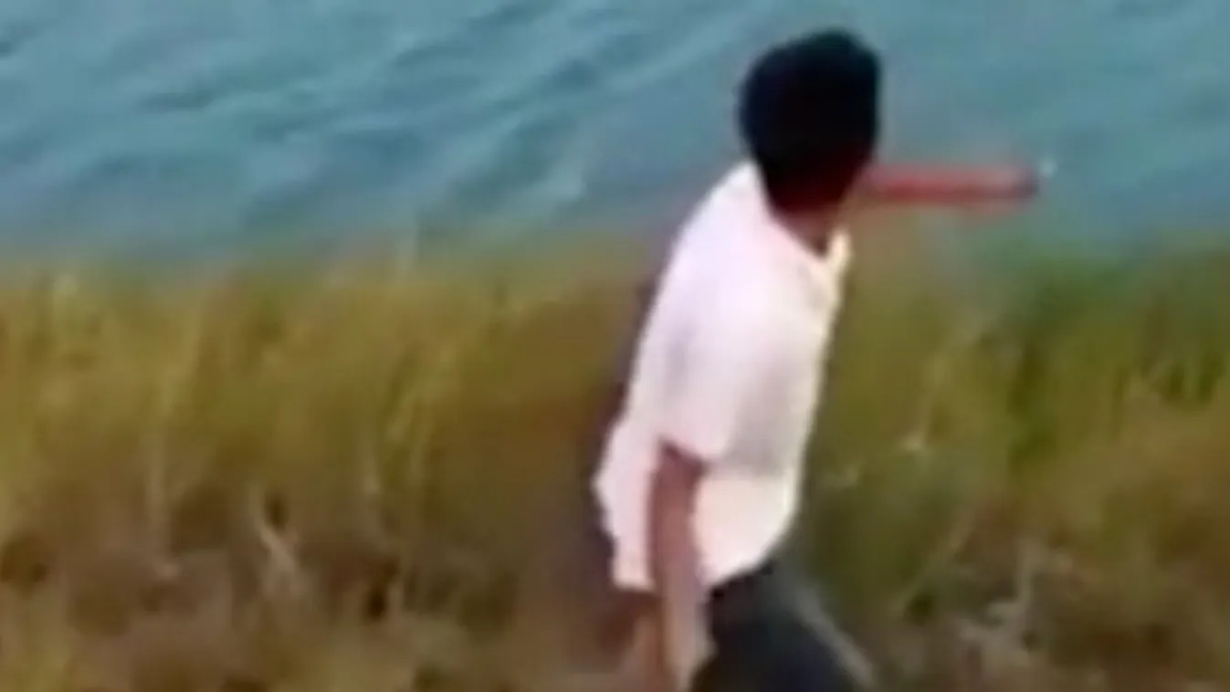 Élve falták fel a kutyakölyköt, a gazdája meg csak nézte - 18+ videó