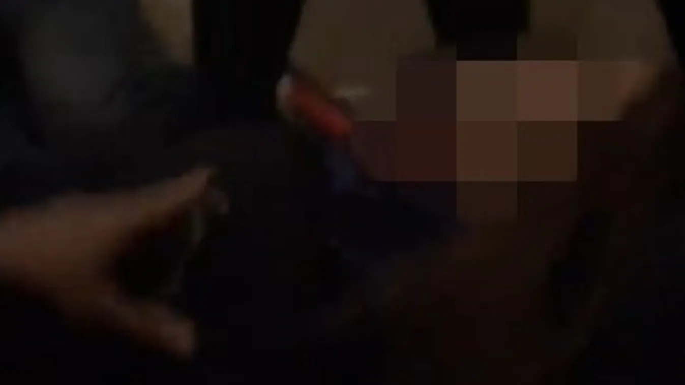 Felkavaró videó: Trump-párti tüntetők ostromolták meg a Capitoliumot, egyiküket lelőtték – 18+ videó