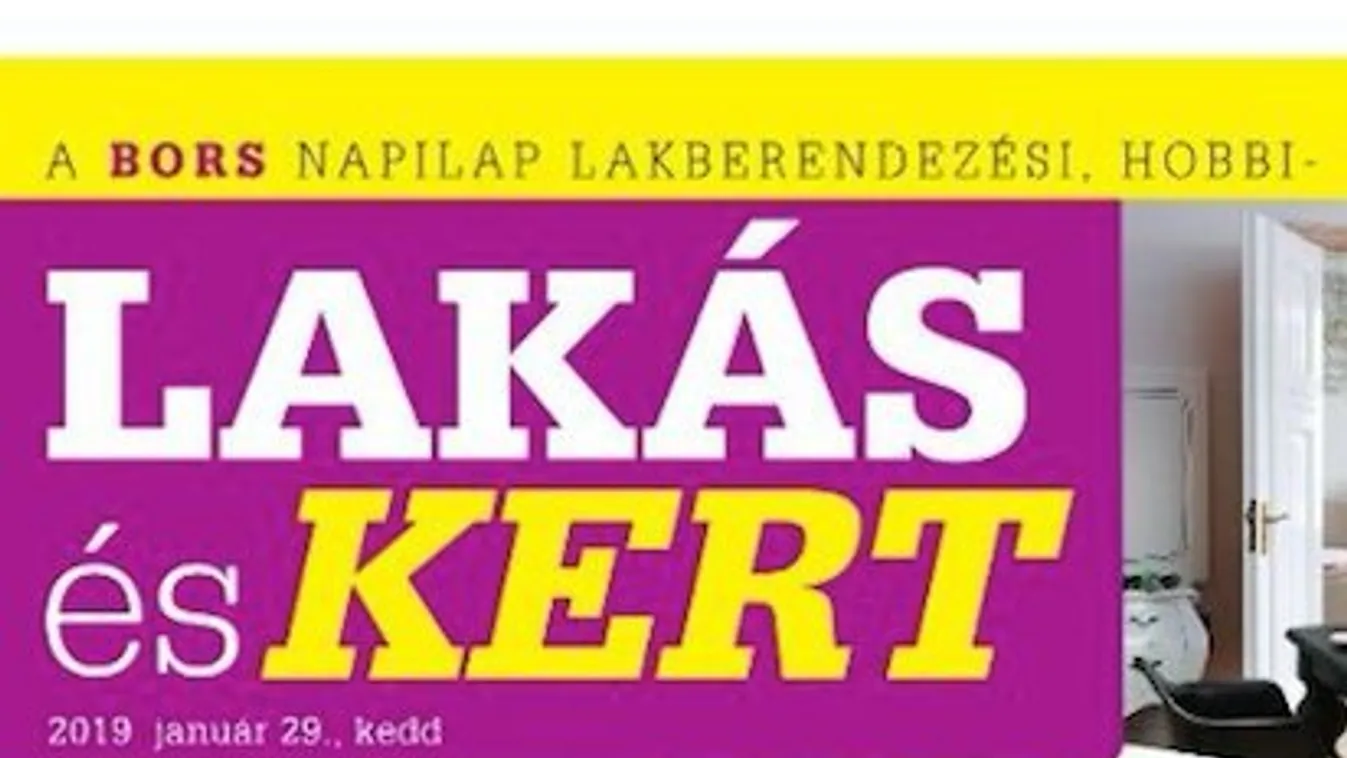 Lakás és Kert Magazin: Színes levelű szobadíszek