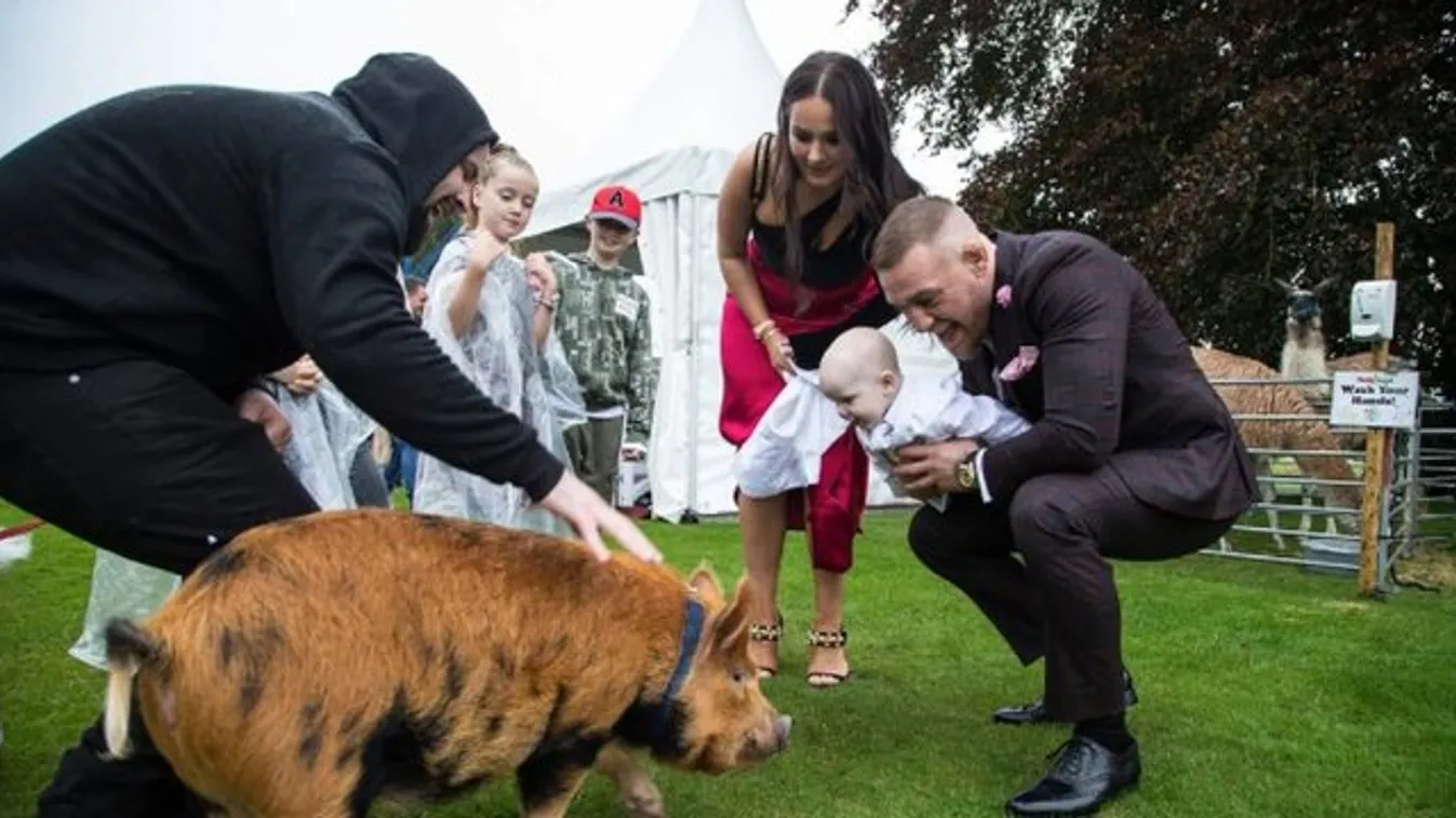 McGregor bulira szórja a pénzét – képek