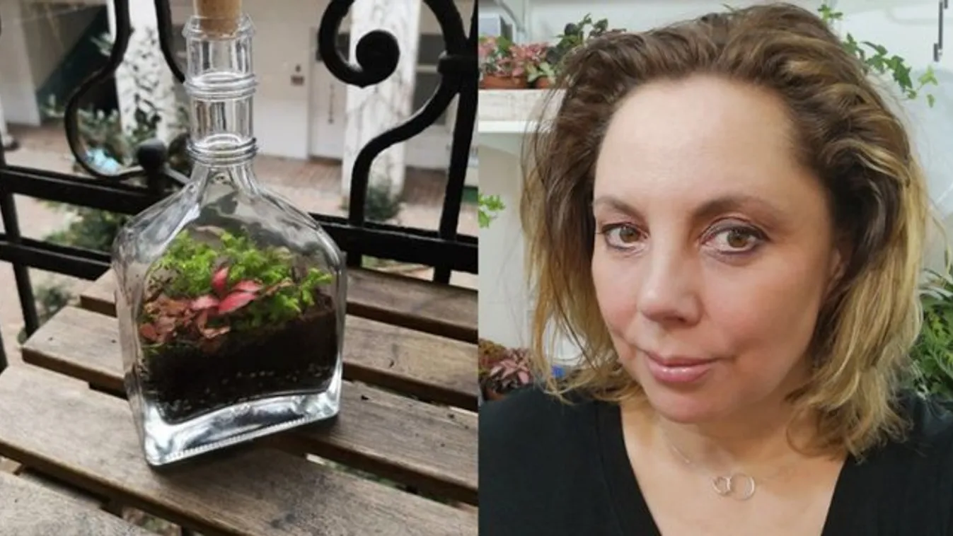 Florárium - Dzsungel nő a palackokban