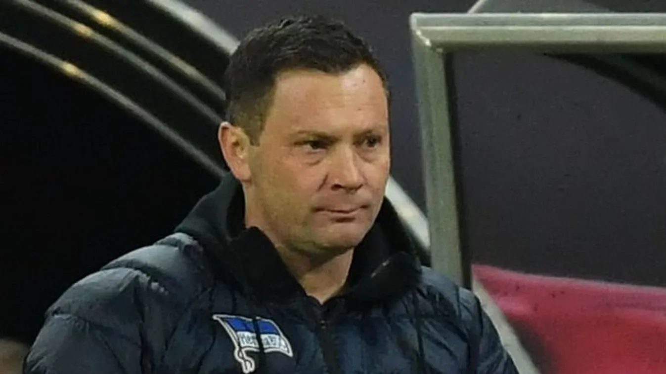278 milliót keres Dárdai Pál