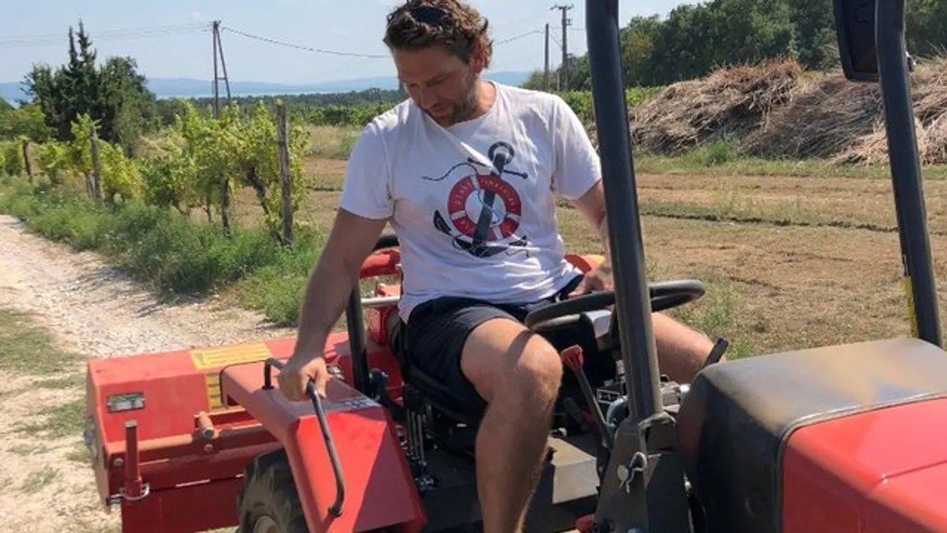 Szállodái üresek, borából él Hajdu Attila