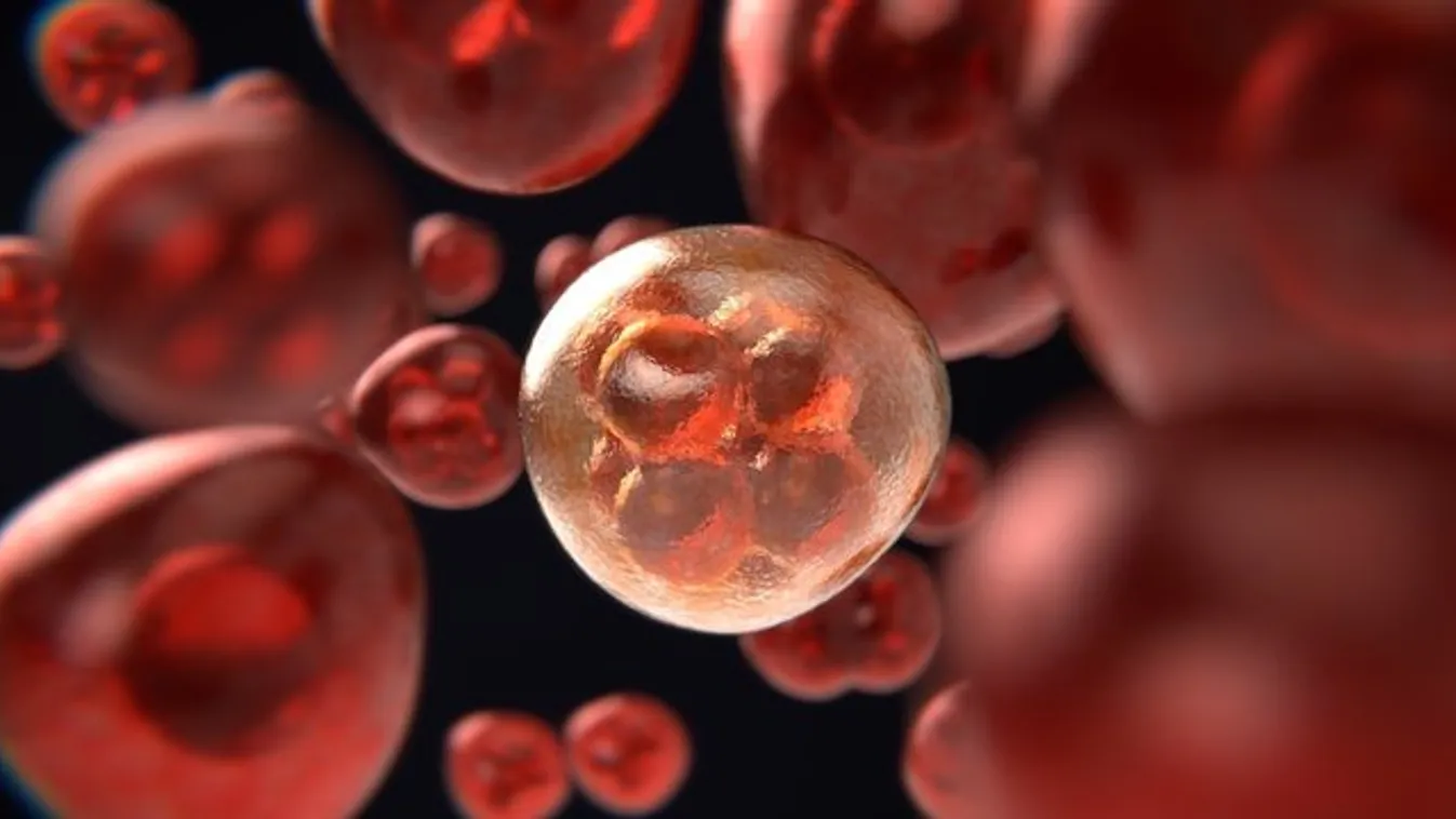 A HIV-vírus ellen harcolt,  mégis génmanipuláció miatt ítélték el a kínai tudóst