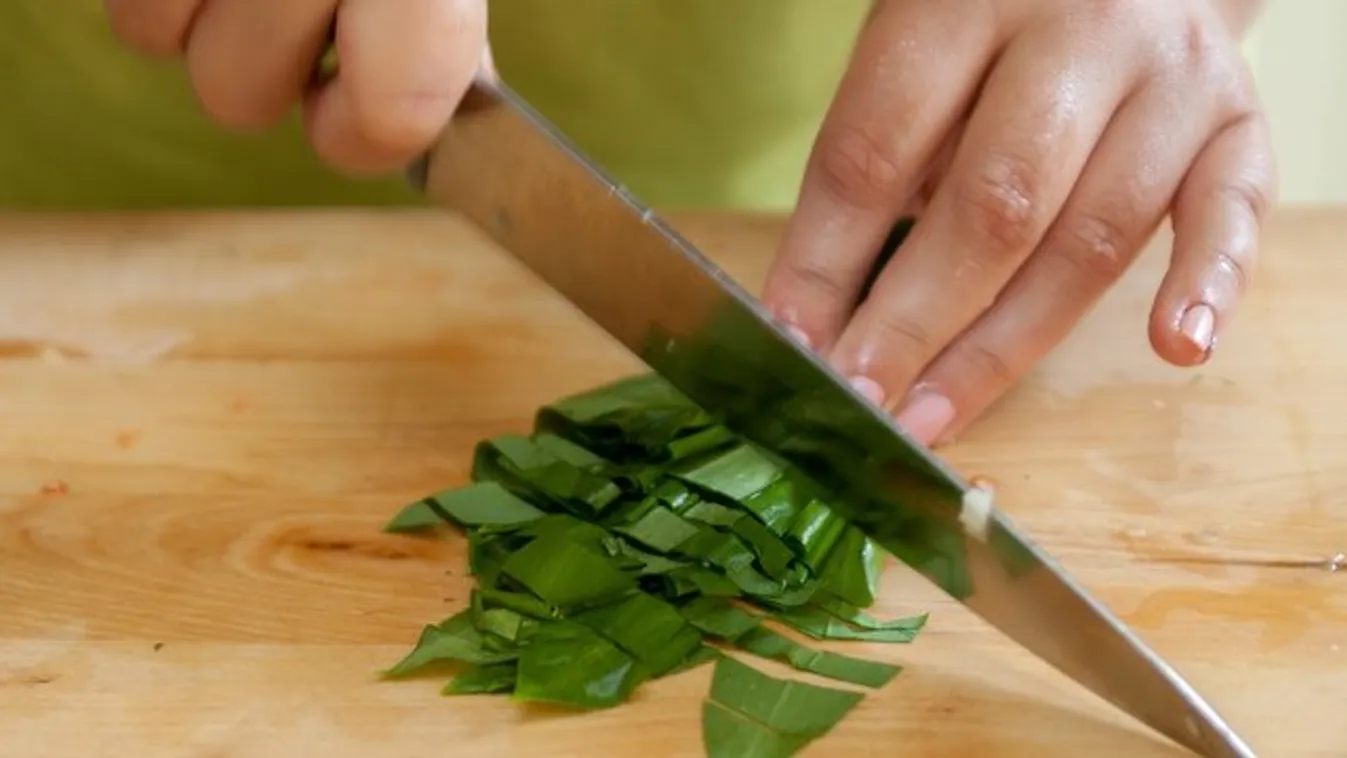 Vitaminban gazdag a medvehagyma