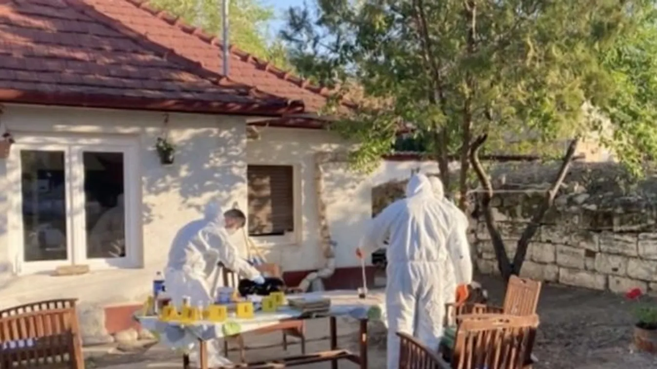 Tragikus részletek: Baltával verte szét jótevői fejét egy 18 éves fiú Diósdon, egyik áldozatát megcsonkította - Videó