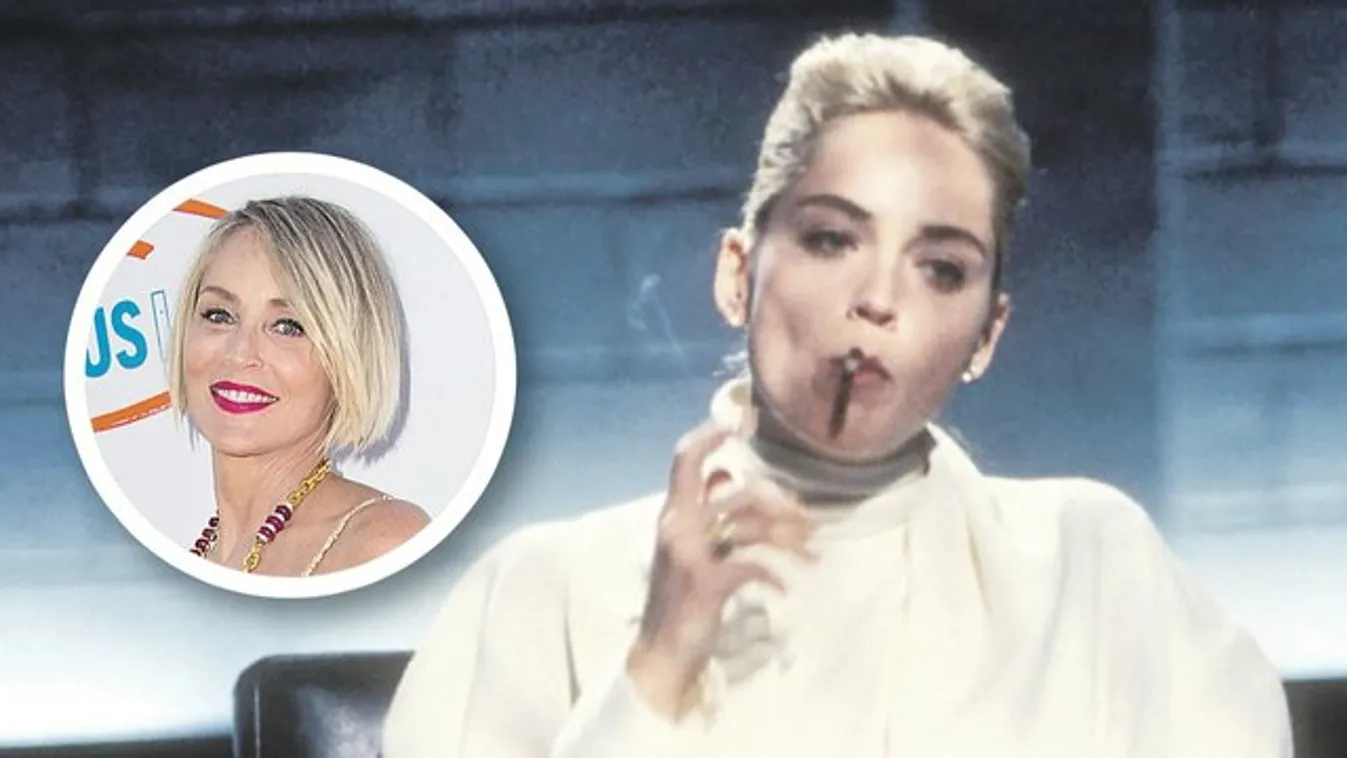 Sharon Stone már nem terpesztene - szupersztárok megbánt képsorai