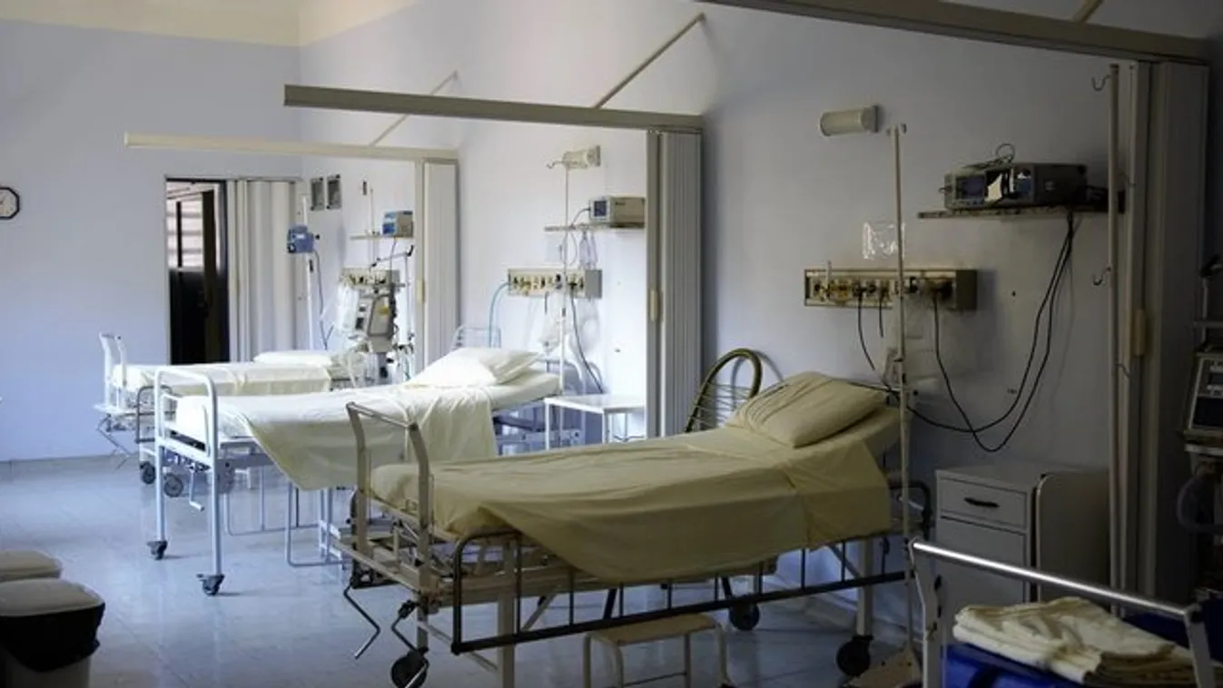 Haláluk után nyolc életet mentettek meg