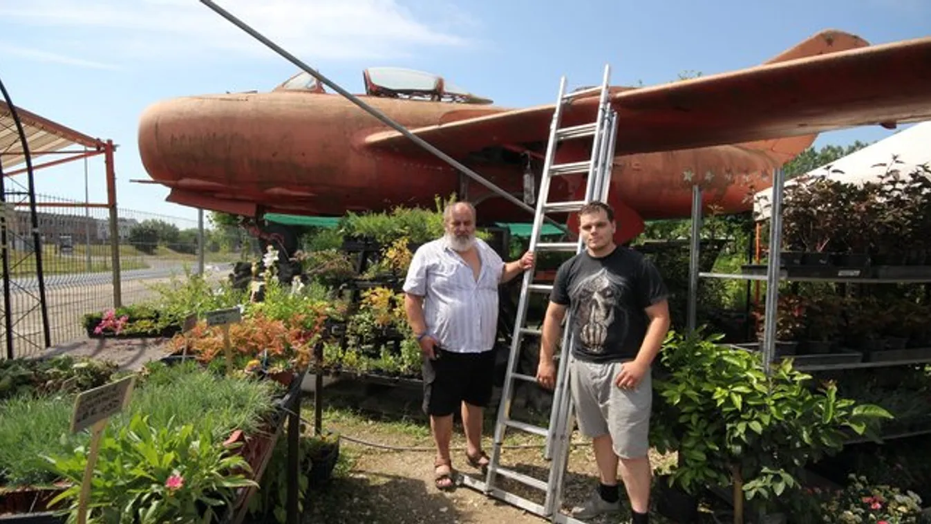 Vadászrepülő csalogat a kertészetbe