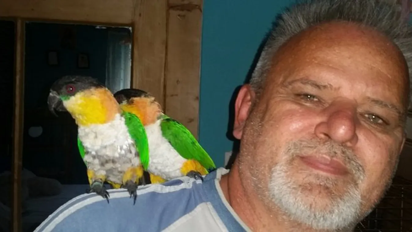 Szerelem: papagájai foglya László