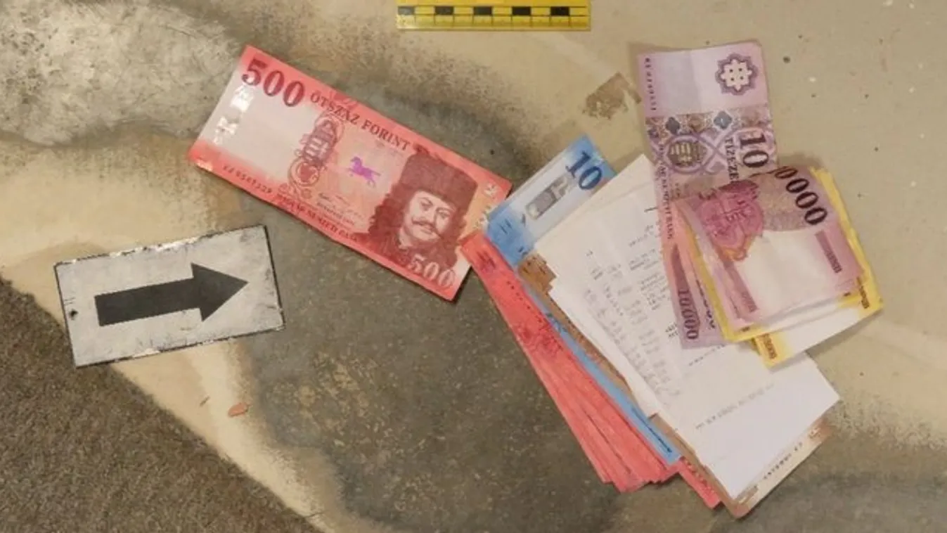 Szalonnázó késsel akarta kirabolni a helyi élelmiszerboltot egy fóti nő