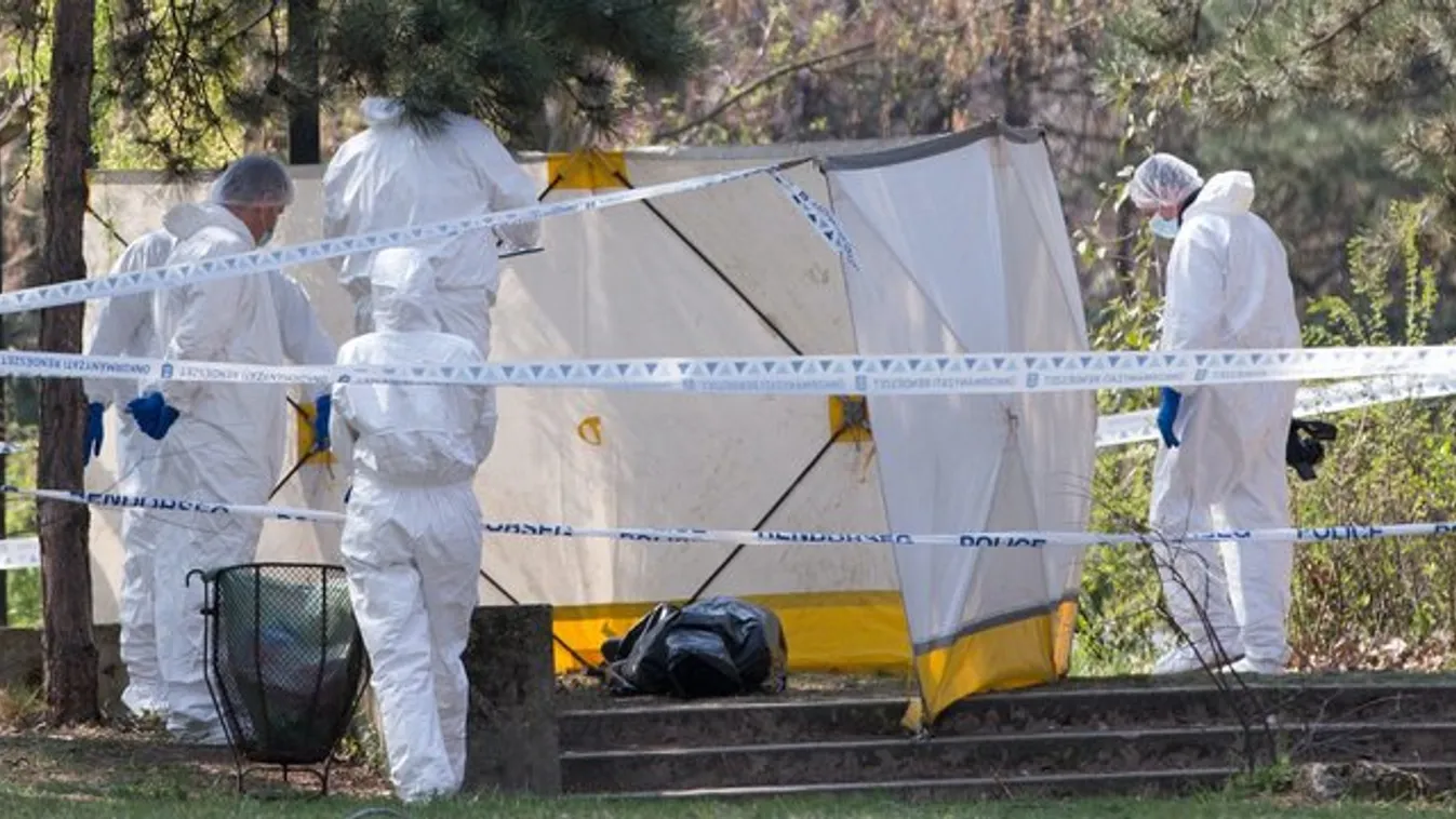Azt hittem, csak rosszul lett - mesélte a népligeti holttestre rátaláló Attila