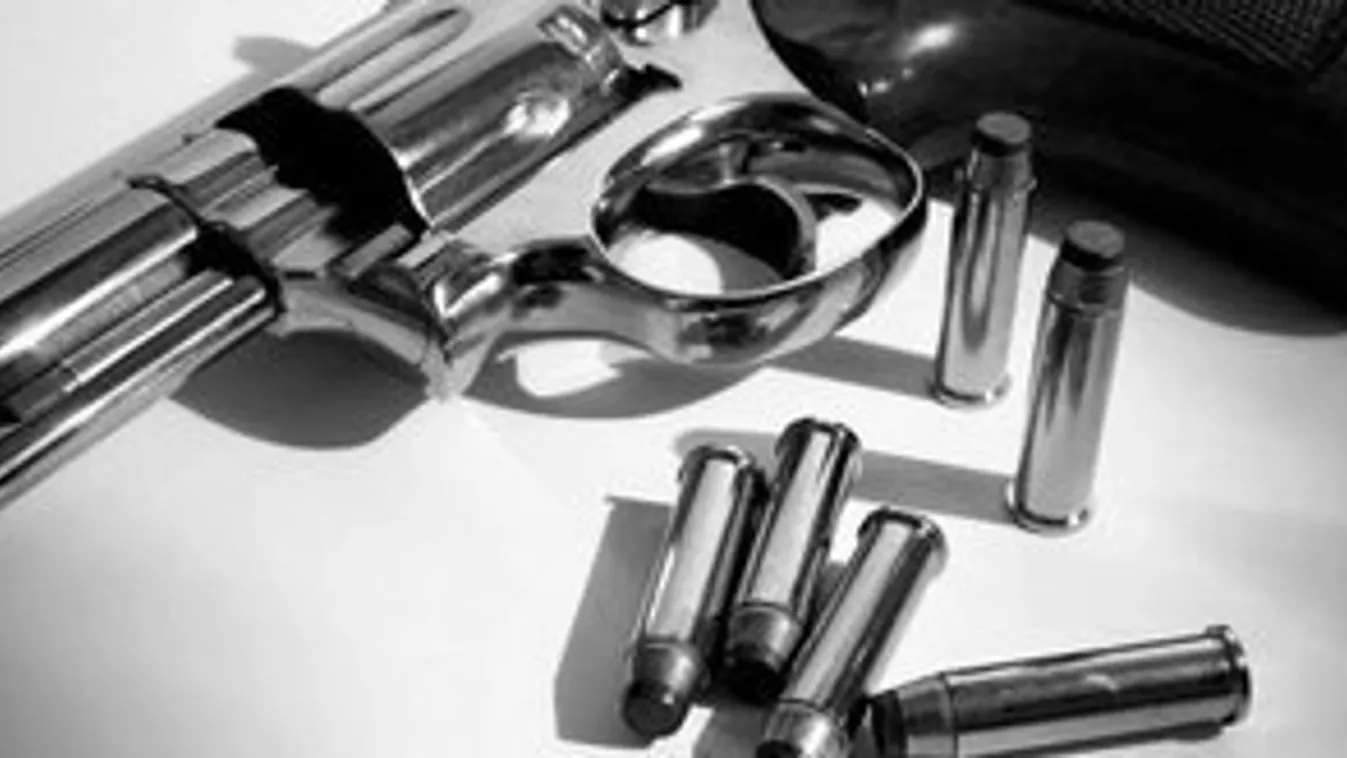 Tévedésből lőttek egymásra rendőrök, öten meghaltak