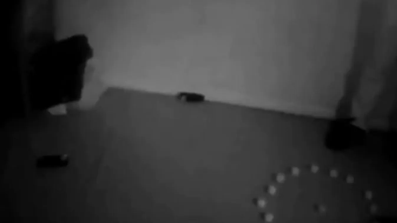 Kísértetek lepték el a házat, a család az újabb rohamot elkerülné – videó