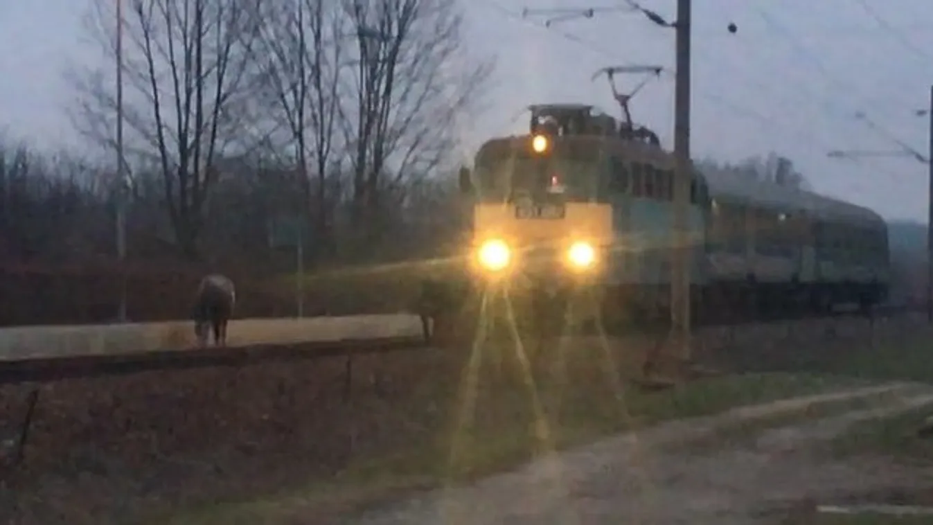 Érdekes ok miatt késett 13 percet a MÁV egyik járata
