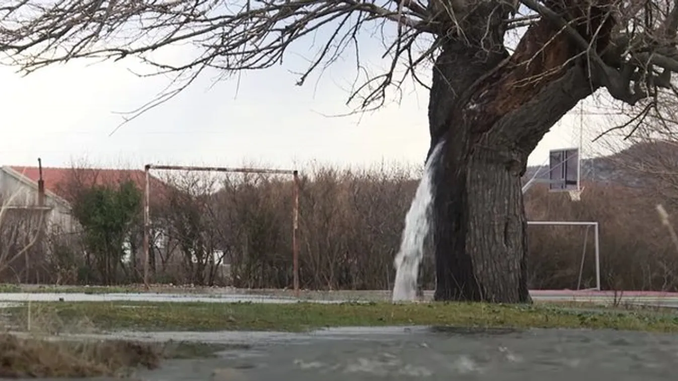 Elképesztő természet: ebből a fából egy mini vízesés folyik - videó