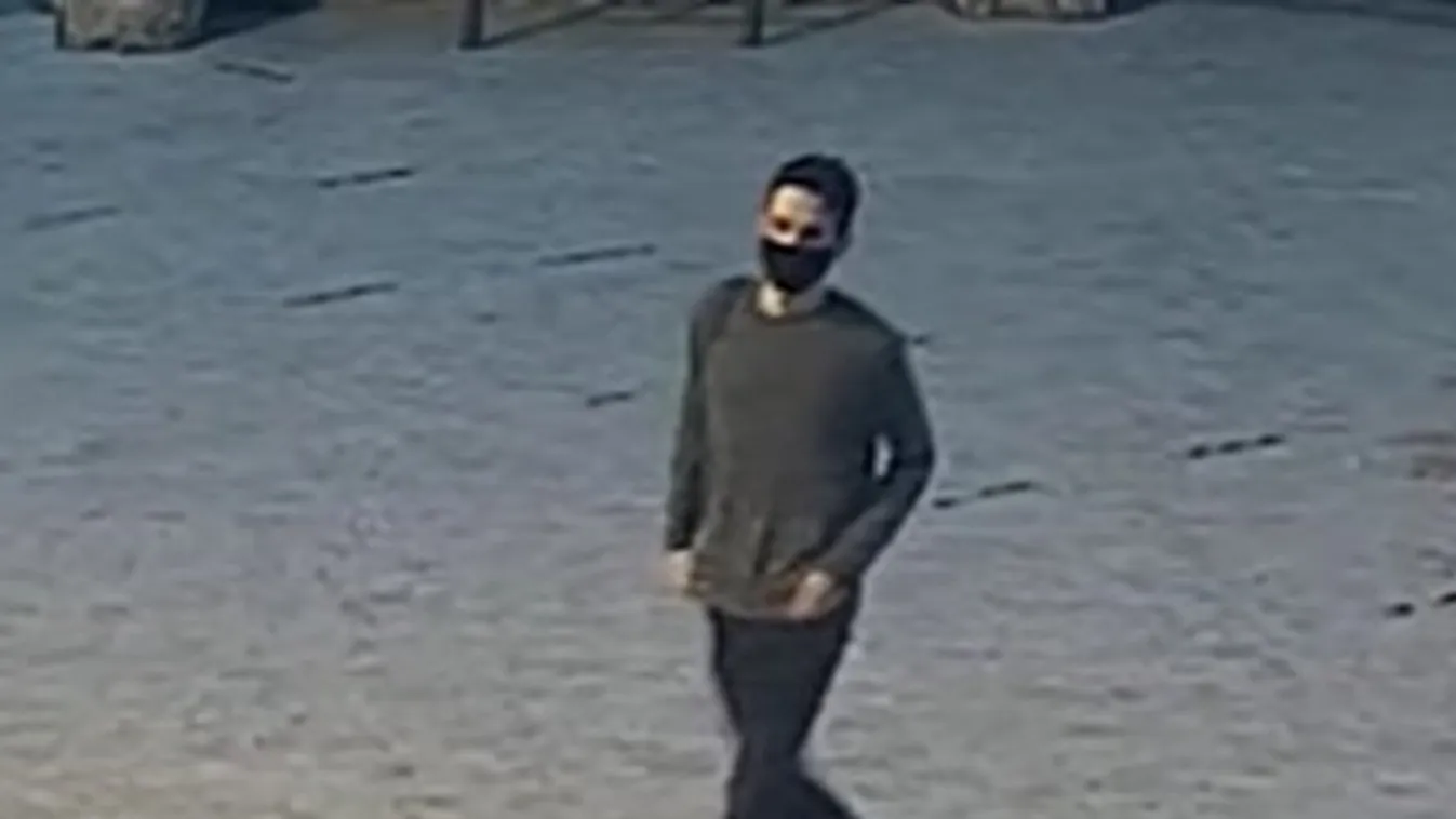 A biztonsági őr mellett sétálgatott: Itt a videó az állatkerti elefántszobor megrongálójáról