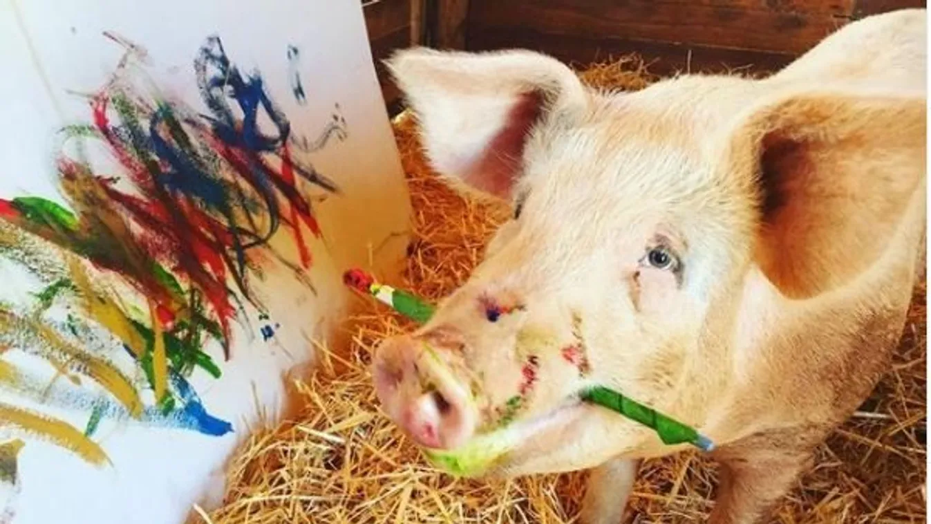Nem hiszi el, ki festette meg Harry herceg portréját!  A malac képe 1 millióért kelt el