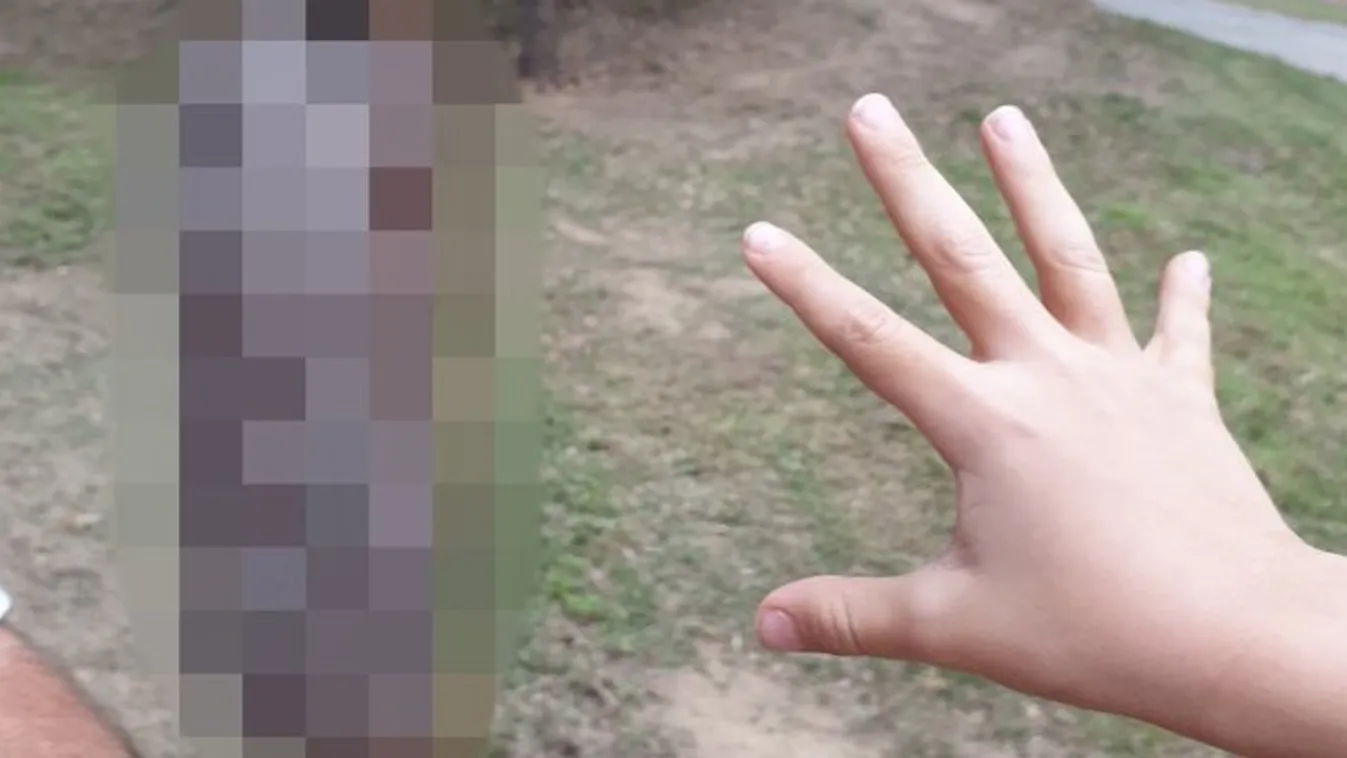 Hatalmas horrorlényt találtak az erdőben: csoda, hogy sikerült lefotózni – fotó