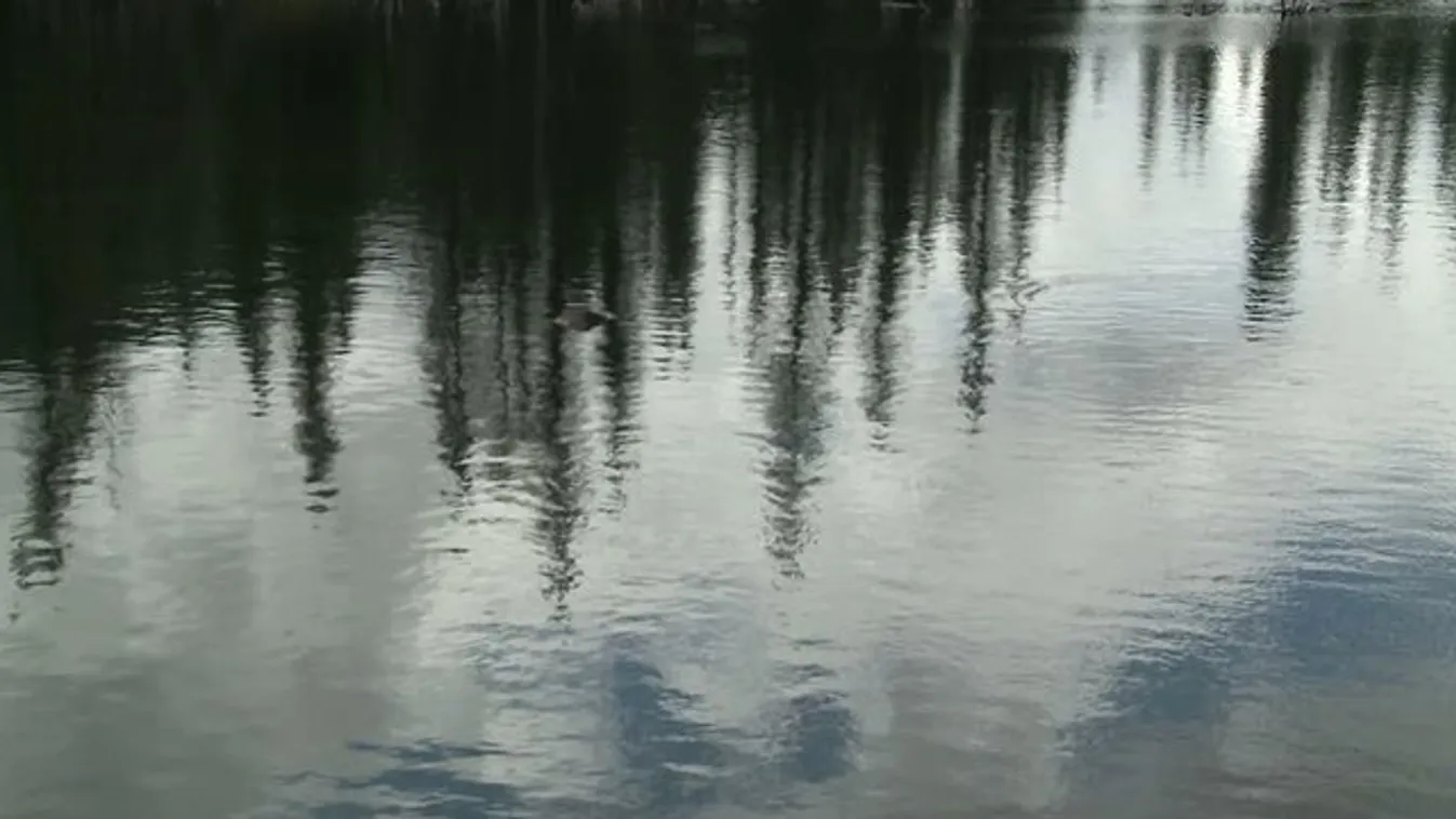 Egy férfi holttestét sodorta partra a Tisza Szolnoknál - a rendőrség a lakosság segítségét kéri