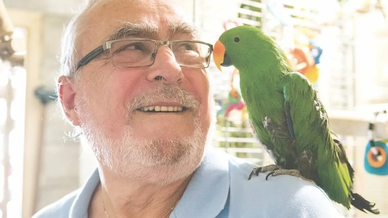 A papagájoknak is szükségük van angyalokra