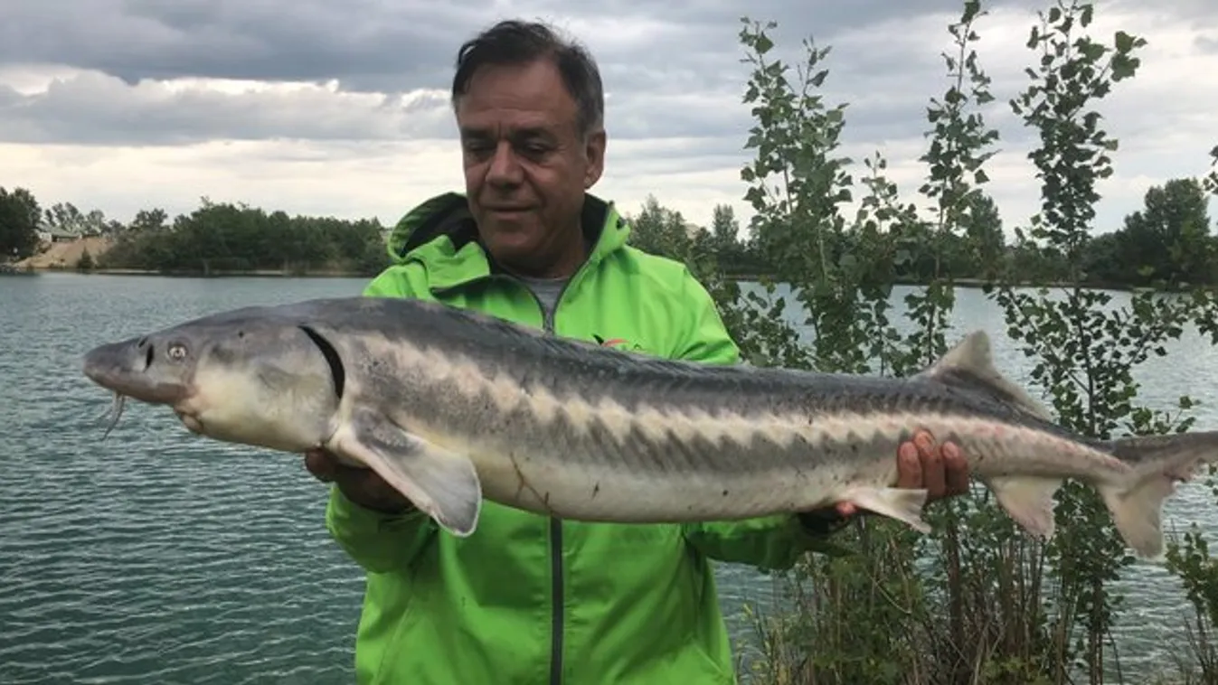 Straub Dezső: Sosem küzdenék kapitális harcsákkal!