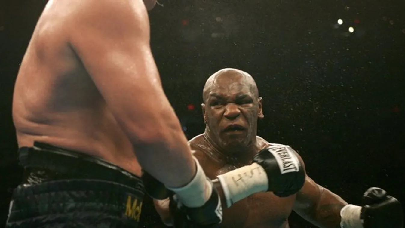 40 hektáron termeszt kábítószert Tyson