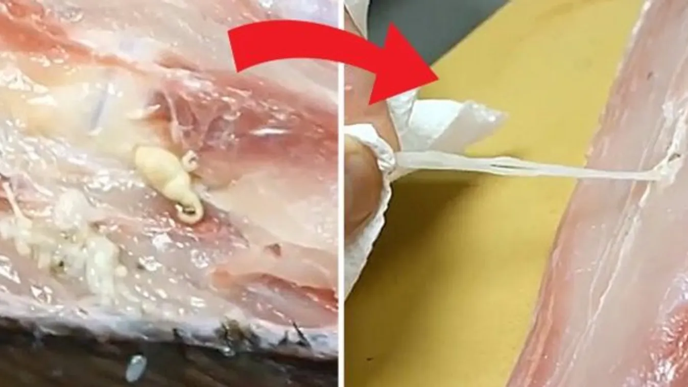 Felvágott egy halat, de majdnem elhányta magát